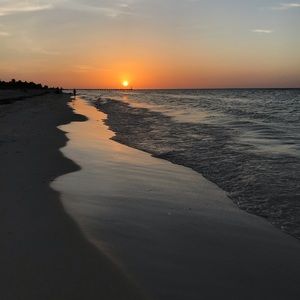 Meet your Posher, Adrian